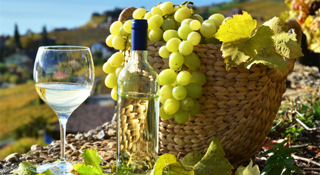 71_副本.jpg 71_副本.jpg